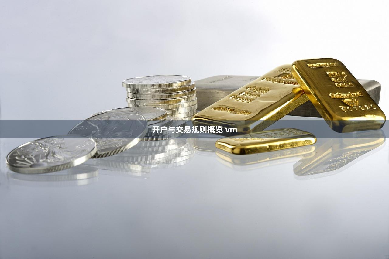 开户与交易规则概览 vm