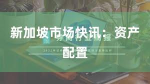 新加坡市场快讯：资产配置